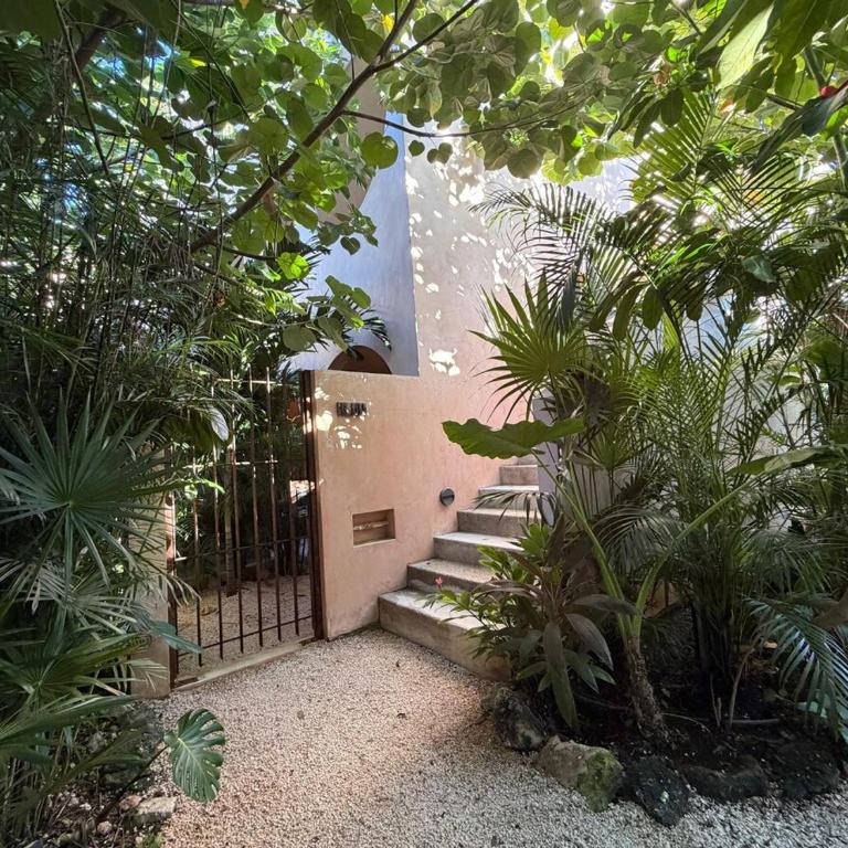 Wellness & Organic Apartment - Apartamento de 1 dormitorio - 49