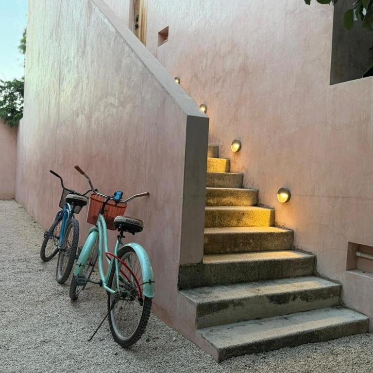 Wellness & Organic Apartment - Apartamento de 1 dormitorio - 54