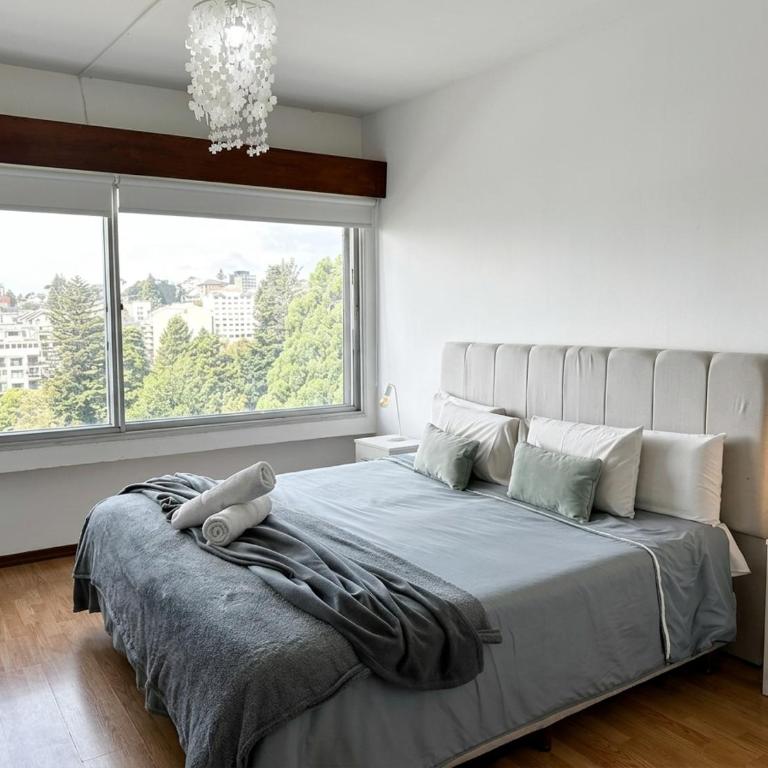 Dpto Moderno Céntrico con vista al Lago - Apartamento de 1 dormitorio con vistas al lago - 5