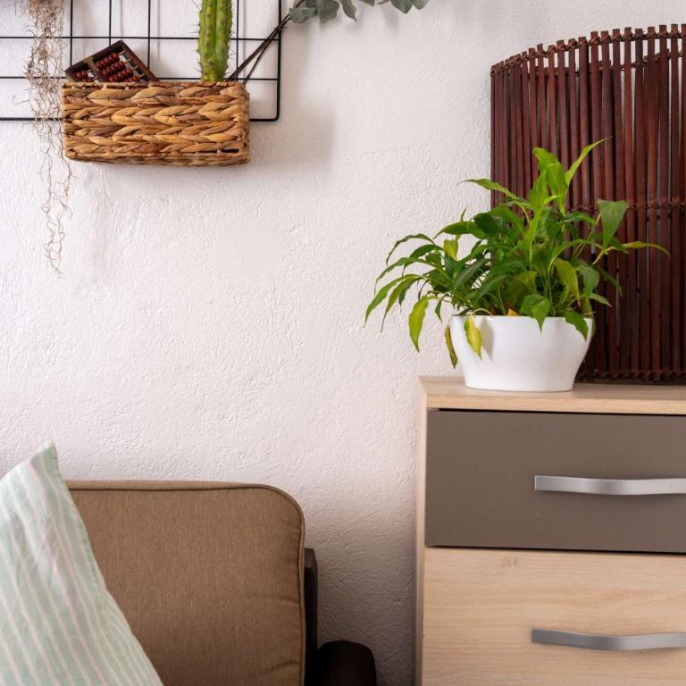 Studio cosy Les Roches - centre village - Monolocale - 6