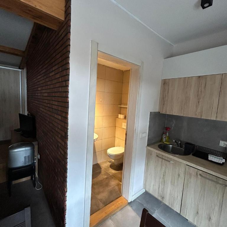 Top Hill - Župa Kopaonik - Two-Bedroom Apartment with View - 9