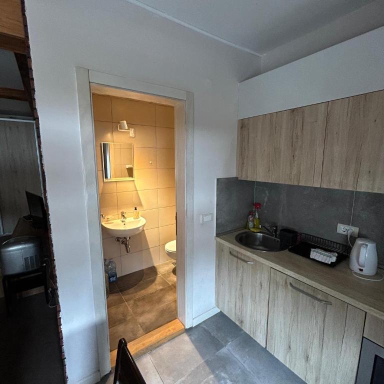 Top Hill - Župa Kopaonik - Two-Bedroom Apartment with View - 10