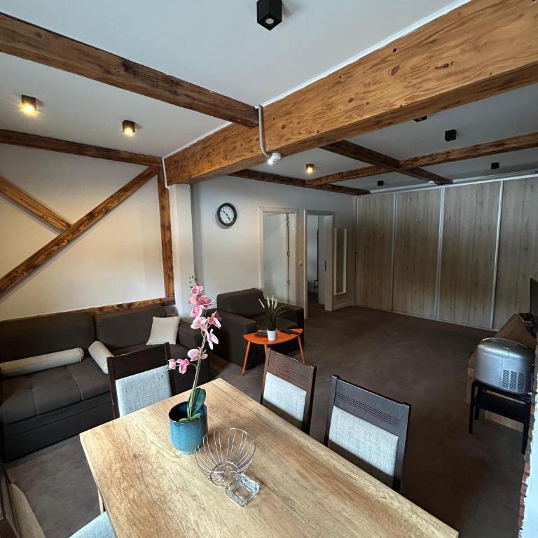 Top Hill - Župa Kopaonik - Two-Bedroom Apartment with View - 14