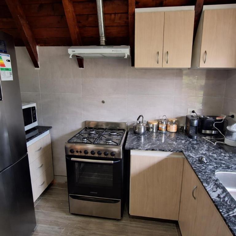 Cabañas en el Centro con Vista al Lago - Two-Bedroom House - 8