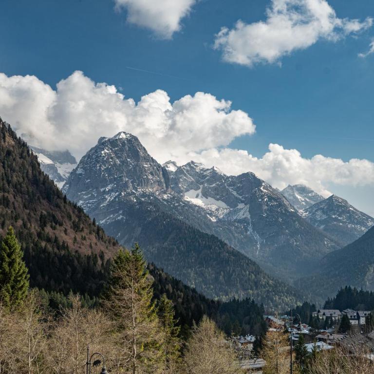 Brenta Dolomites Views Retreat - Heart of Campiglio - Appartamento Deluxe - 23