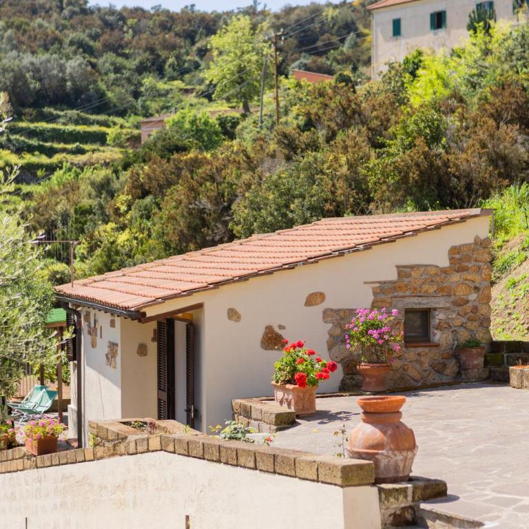 Appartamenti Bellavista by ElbaSummer - Villa con 1 Camera da Letto - 27
