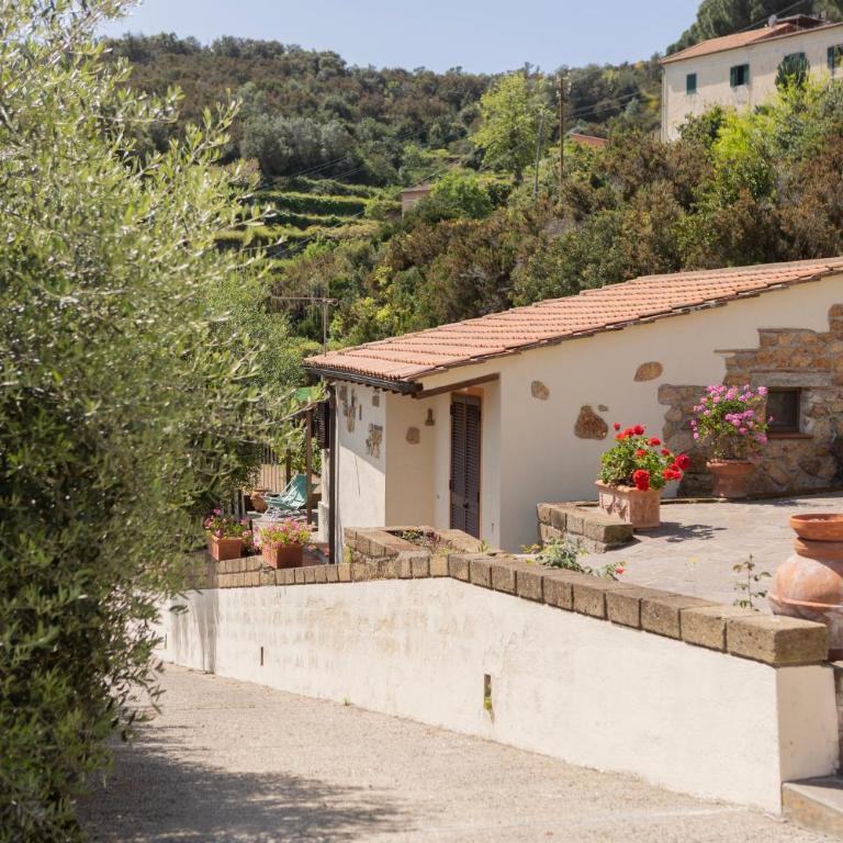 Appartamenti Bellavista by ElbaSummer - Villa con 1 Camera da Letto - 32