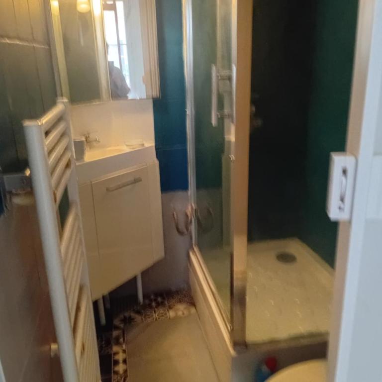 Appartement Odéon a 5 minutes de la Seine BAIL MOBILITE - Appartement - 14