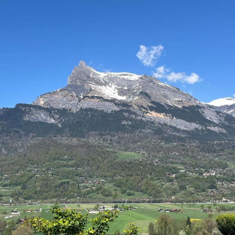 Chalet villa avec piscine Megeve - Villa - 2