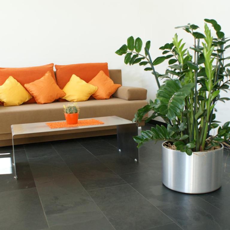 Haus Kibitz - Apartment mit 1 Schlafzimmer und Terrasse - 6