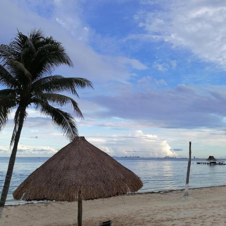 Hermoso condominio a pocos pasos del mar - Estudio con vista al océano - 4