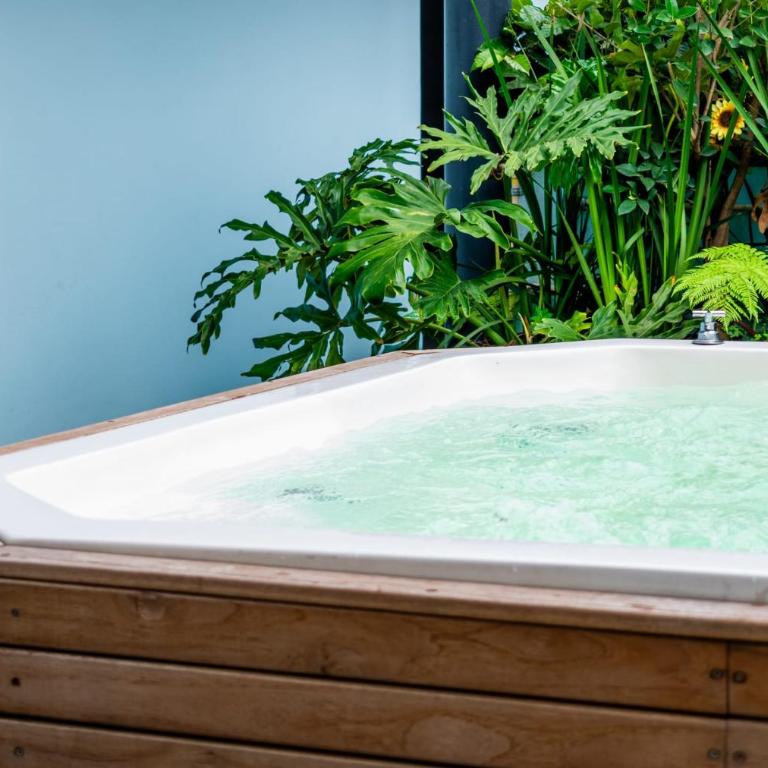Puerta Roja Excelente Ubicacion en la Roma Jacuzzi - Apartamento - 11