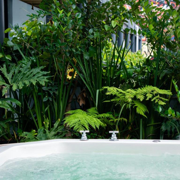 Puerta Roja Excelente Ubicacion en la Roma Jacuzzi - Apartamento - 13