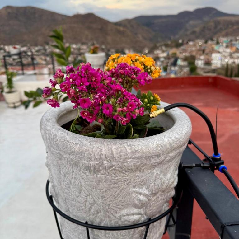 Vivencia GTO 4BR Rooftop w Private Garage 15m Dtwn - Four-Bedroom Vacation Home - 8