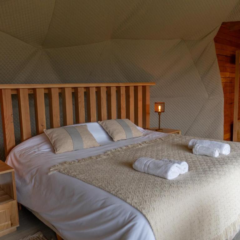 Bonanza Glamp Nature Experience - Double Room with Mountain View - 25