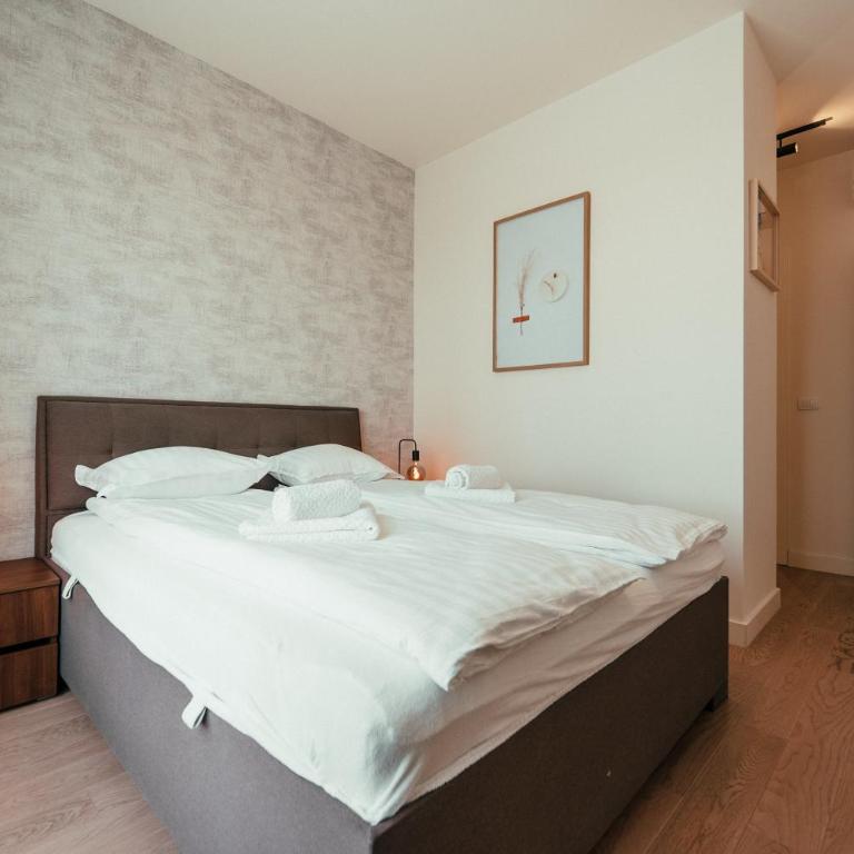 Belgrade Waterfront Haven - Deluks Apartman sa 2 Spavaće Sobe - 2