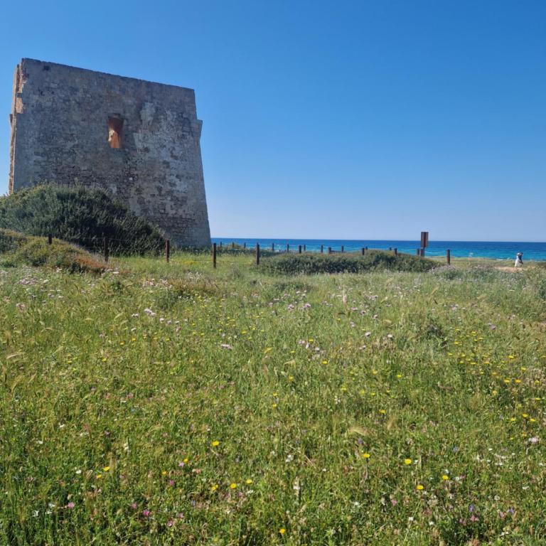 Villa Trinchera Luxury - Villa con 2 Camere da Letto - 20