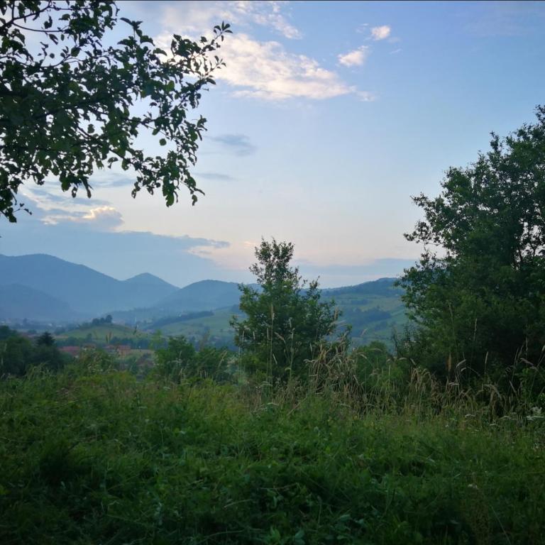 Green Idylle -Pyramid View - Vikendica - 39