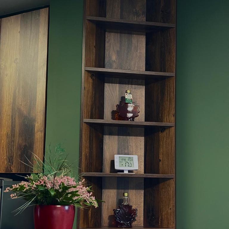 Town View Apartment - One-Bedroom Apartment - 3