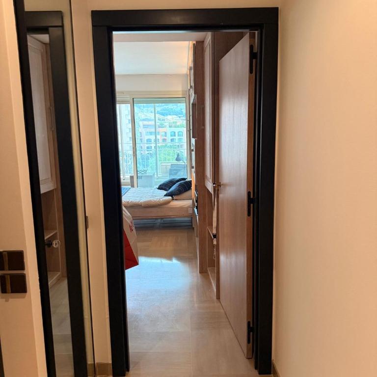 Luxury Retreat in Monaco with Rare Private Parking, Pool, AC and Wifi - Appartement 1 Chambre - 19