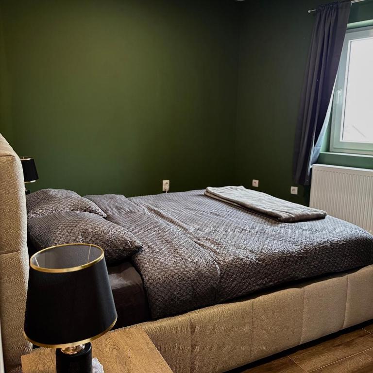 Town View Apartment - One-Bedroom Apartment - 17