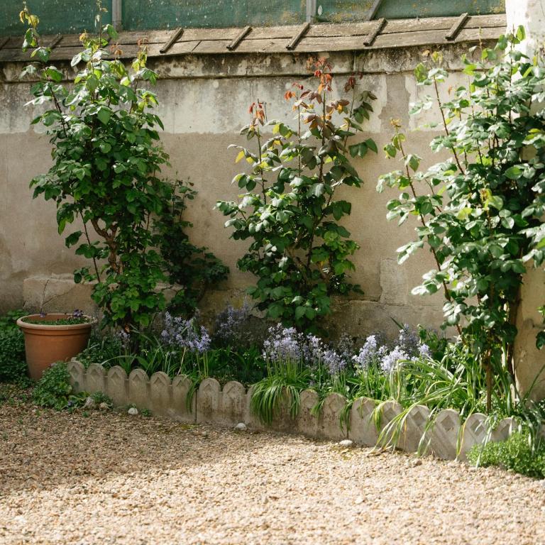 Suite Maiora - Premium - Vue Loire & Spa - Appartement - Rez-de-Chaussée - 12