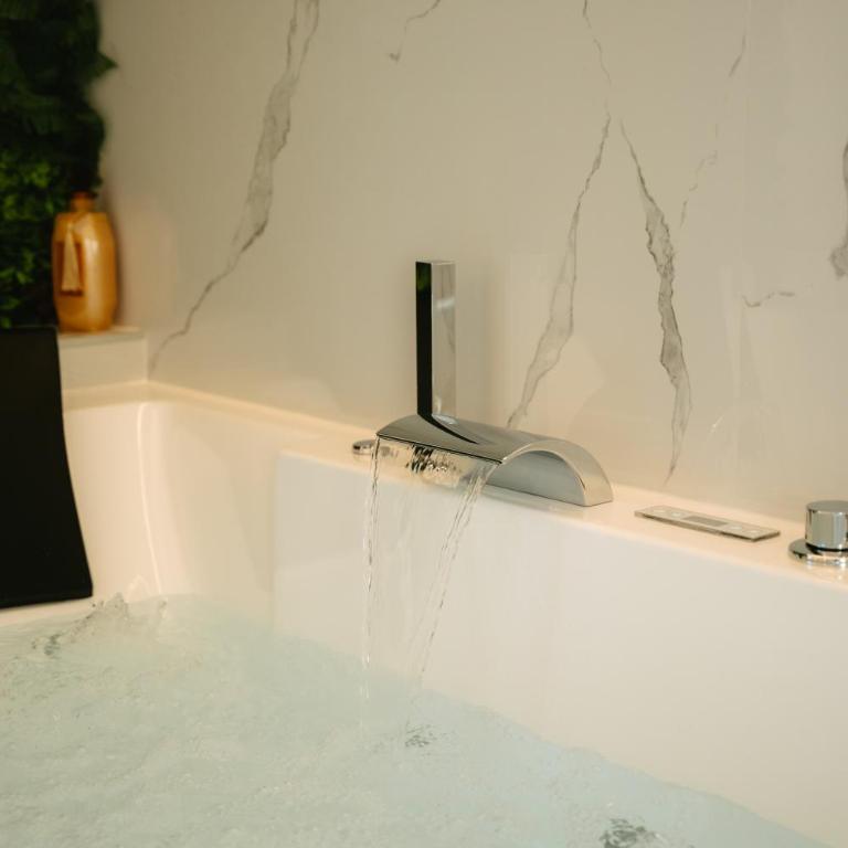 Suite Maiora - Premium - Vue Loire & Spa - Appartement - Rez-de-Chaussée - 17