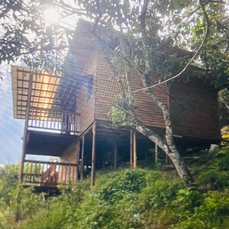 Cabaña Premium - One-Bedroom Apartment - 26