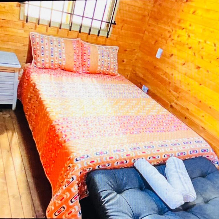Cabaña Premium - One-Bedroom Apartment - 24