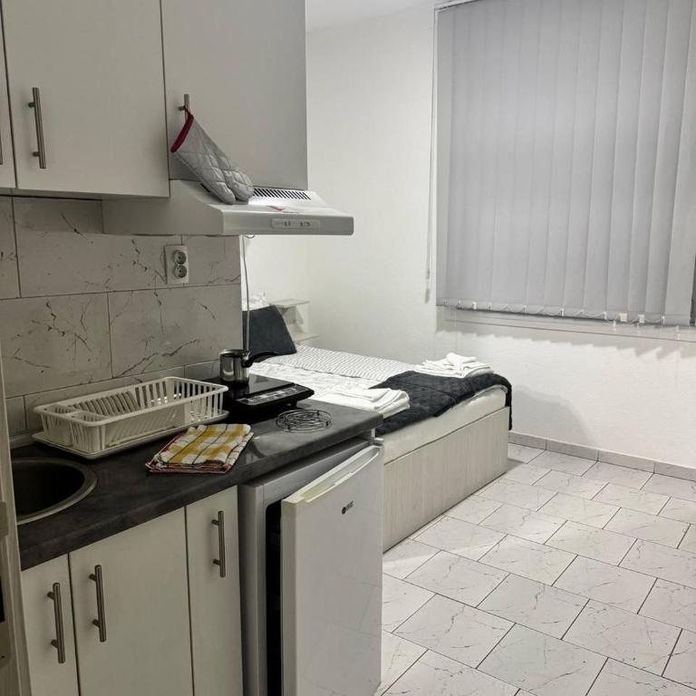 Vila Cirkovic - 200m od mermernog setalista - Dvokrevetna Soba sa Bračnim Krevetom - 6