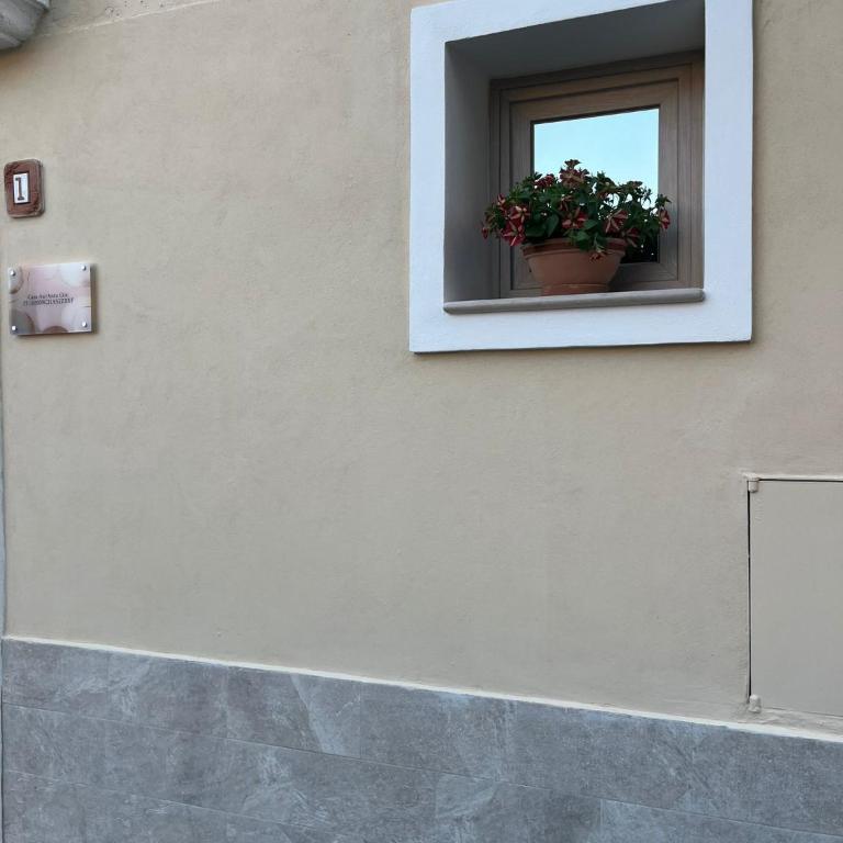 Casa AurAnto - Two-Bedroom Apartment - 23