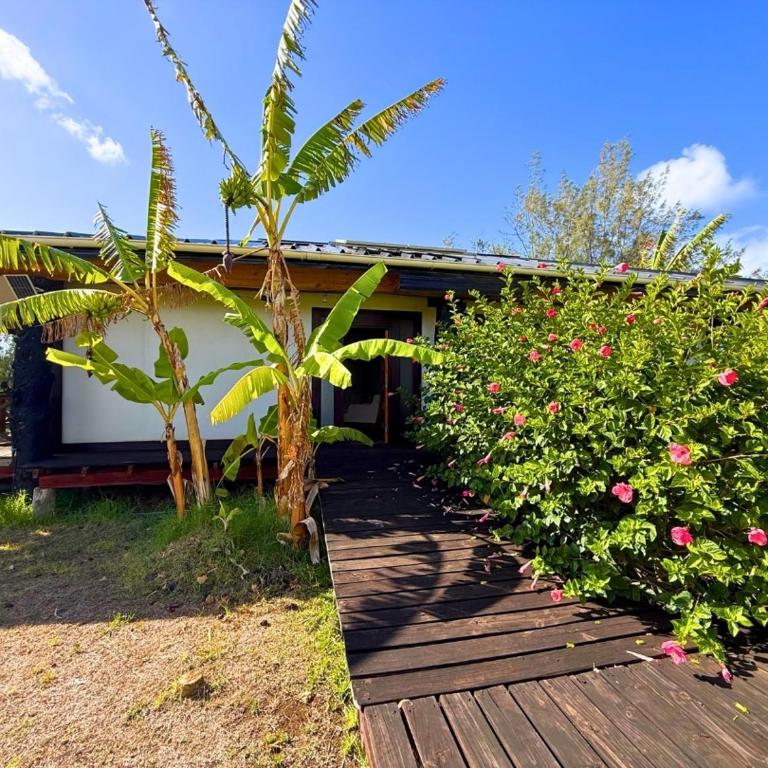 Vaihu Nui Bungalow-Glamping - One-Bedroom Bungalow - 11