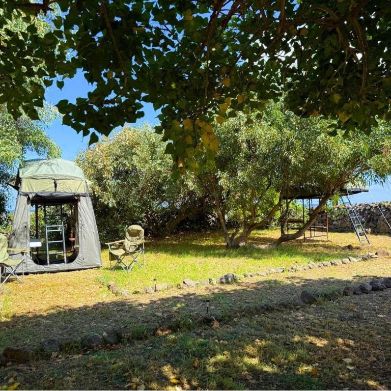 Vaihu Nui Bungalow-Glamping - Tent - 13
