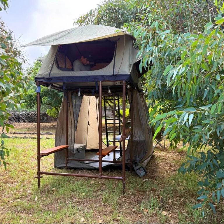 Vaihu Nui Bungalow-Glamping - Tent - 11