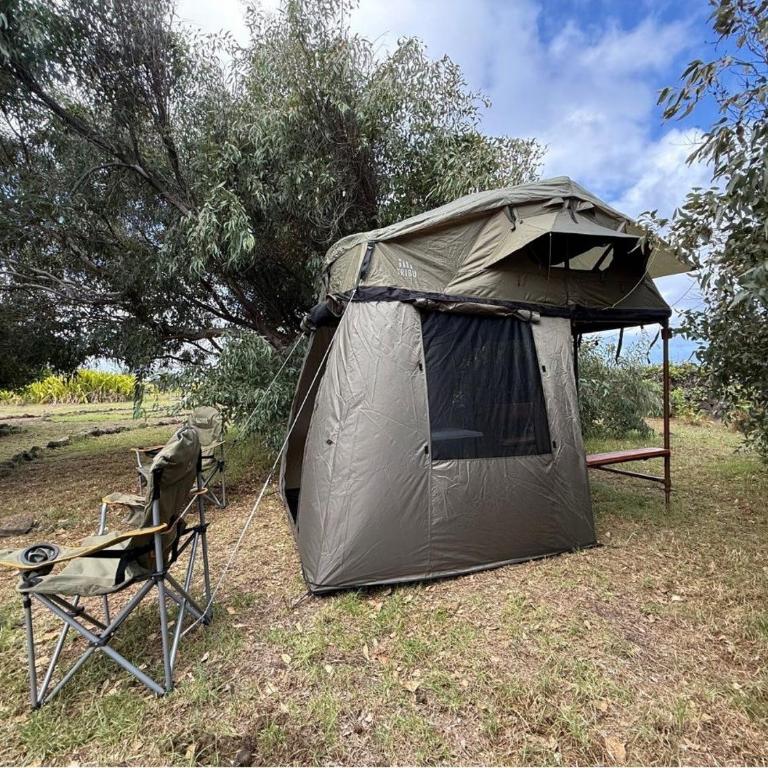 Vaihu Nui Bungalow-Glamping - Tent - 14