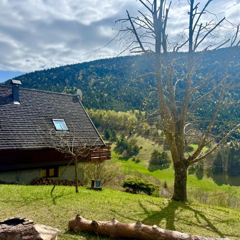 Le nid du vercors - Appartement 1 Chambre - 24