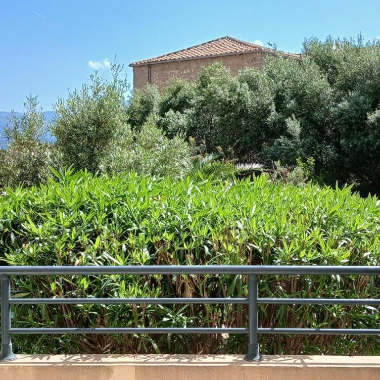 Studio 4 personnes à Calvi, toutes commodités à pied - Apartamento Estudio - 11