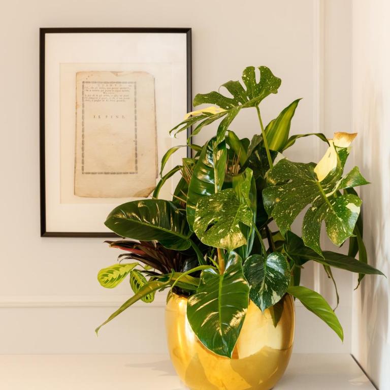 La Merope Guest House de Charme - Junior Suite - 31