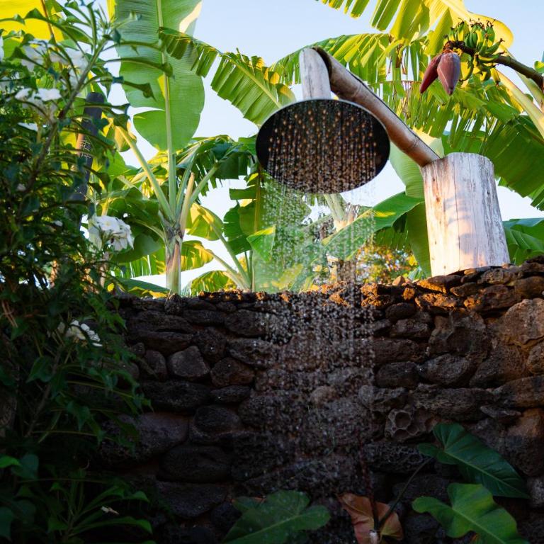 Kona Koa Lodge - Premium Bungalow with Sea View - 11
