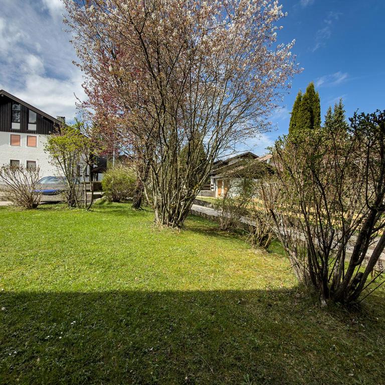 Tannenrauschen - Apartment mit Terrasse - 21