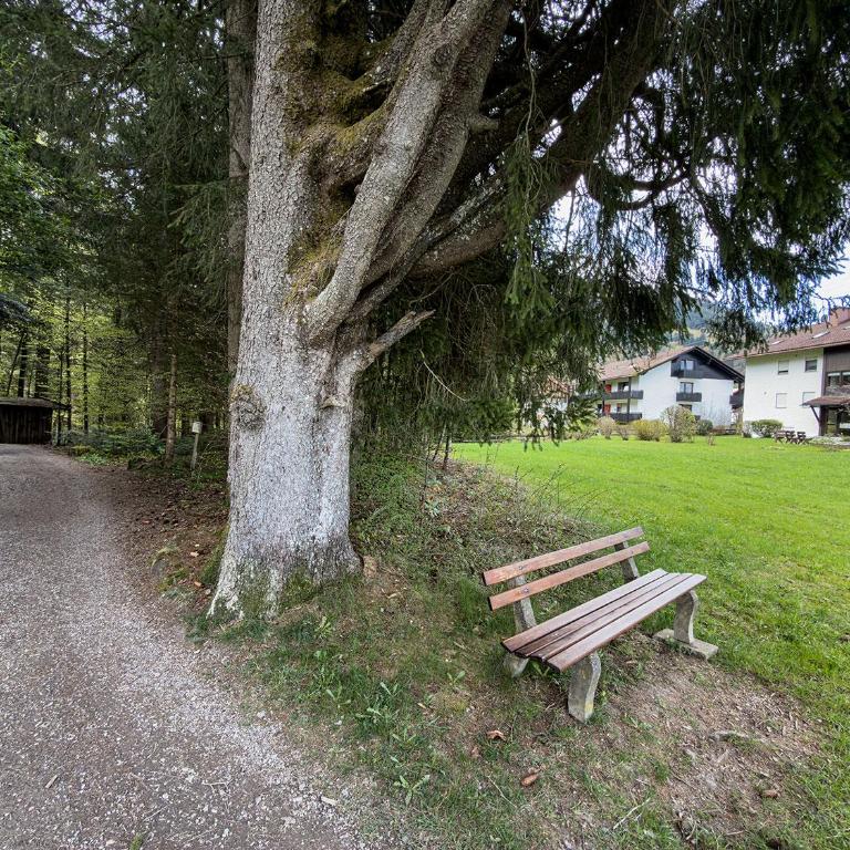 Tannenrauschen - Apartment mit Terrasse - 29