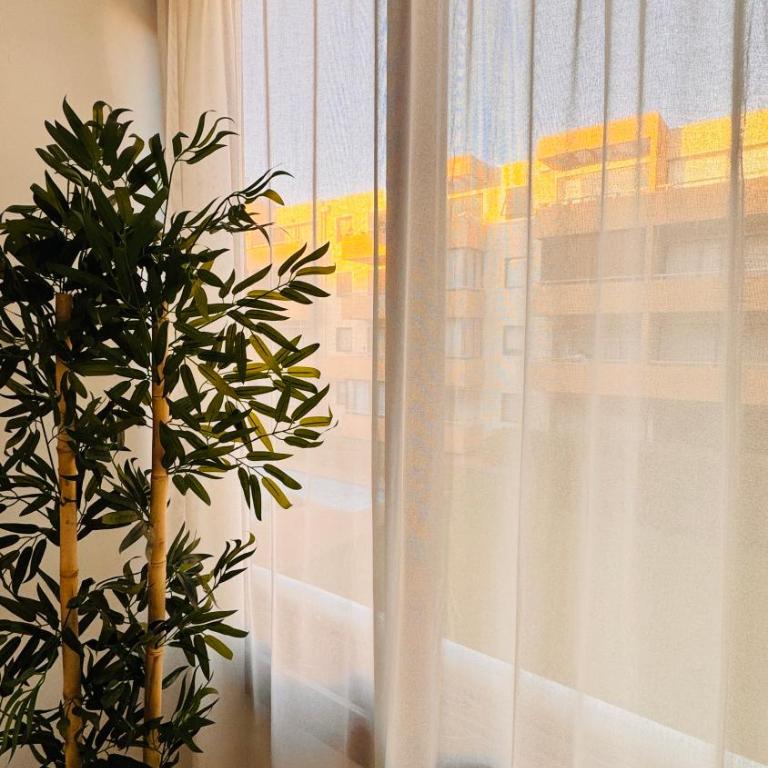 Jardines de reñaca - One-Bedroom Apartment - 8