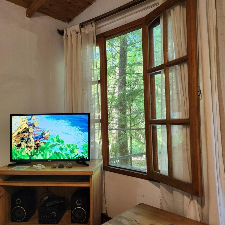 Cabaña con piscina - Apartamento de 1 dormitorio con vistas al jardín - 12