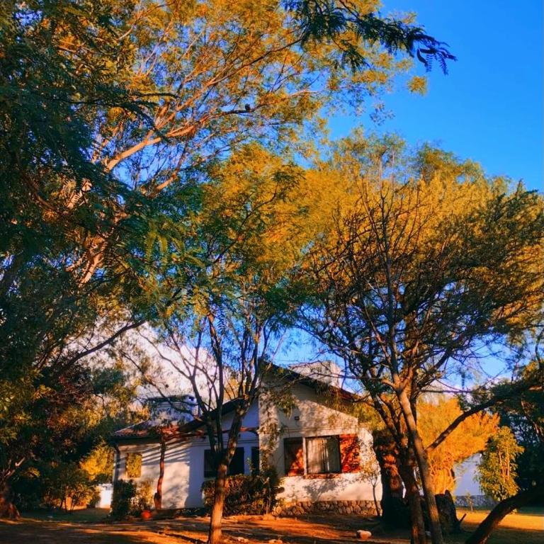 Cabañas Aldea Blanca - Casa de 2 dormitorios - 29