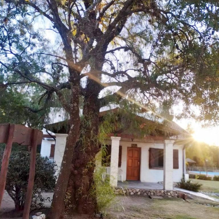 Cabañas Aldea Blanca - Casa de 2 dormitorios - 30