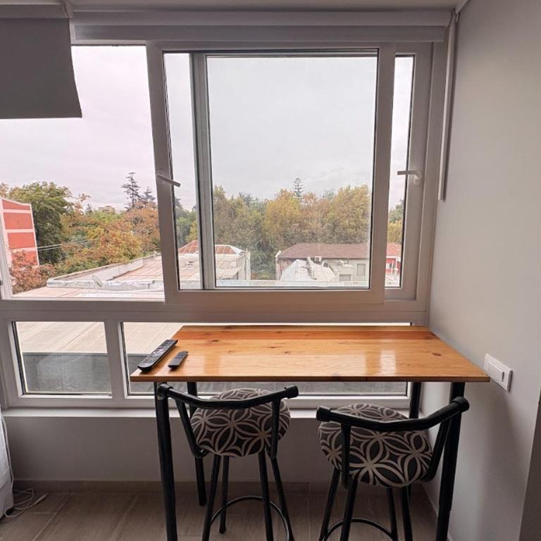 Movistar Arena I Parque Ohiggins I Metro Rondizonni - One-Bedroom Apartment - 3