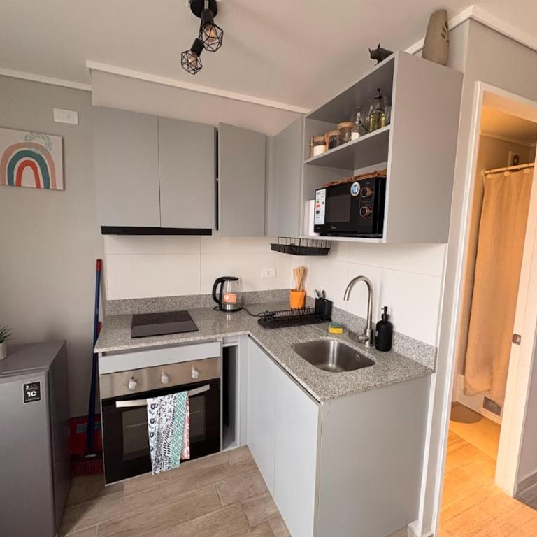 Movistar Arena I Parque Ohiggins I Metro Rondizonni - One-Bedroom Apartment - 5