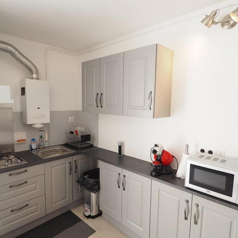 Studio agréable, animaux OK, parking - 4 pers. - FR-1-874-22 - Estudio - 5