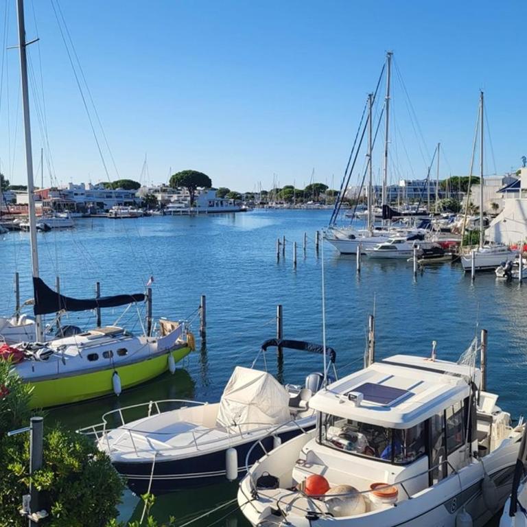 Marina rare avec clim et parking - Port Camargue - FR-1-874-33 - Appartamento - 5