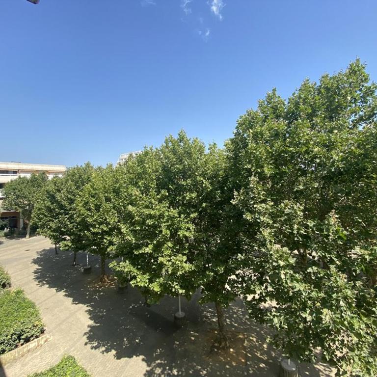 Studio coquet avec piscine - 2 pers. - FR-1-874-46 - Studio - 4